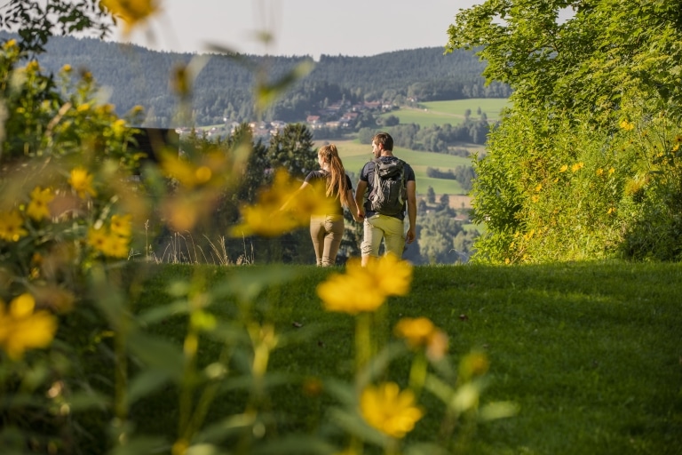 Sonnenhof Lam Familienurlaub im Sommer