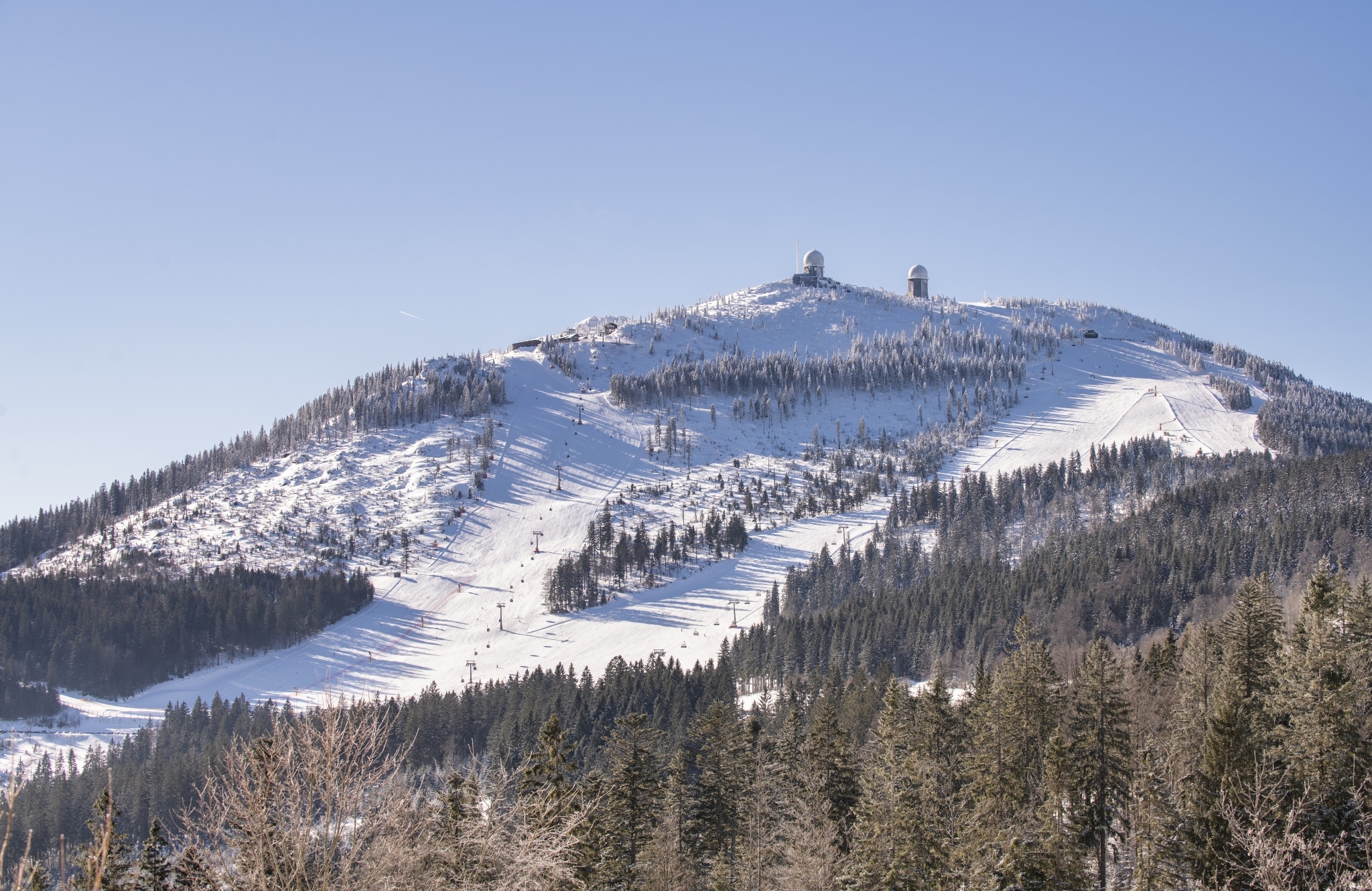 Sonnenhof Lam Großer Arber