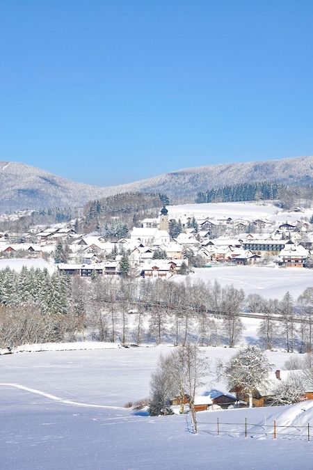 Bild von Drachselsried