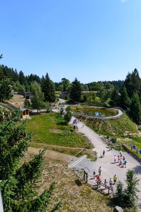 Bild von Sankt Englmar