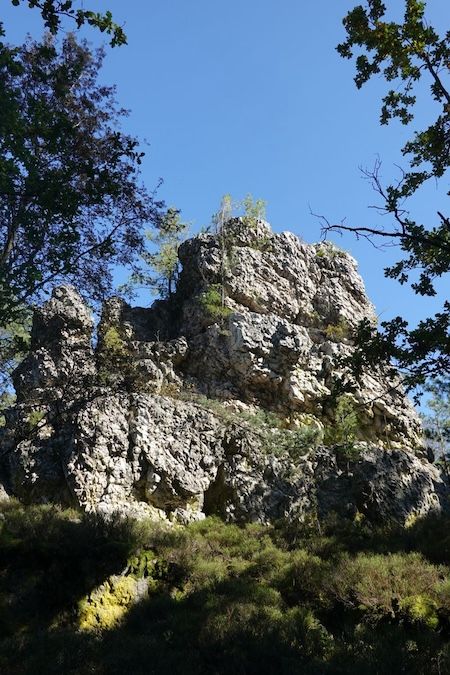 Bild von Viechtach
