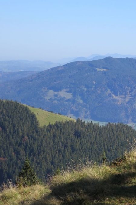 Bild von Zwiesel