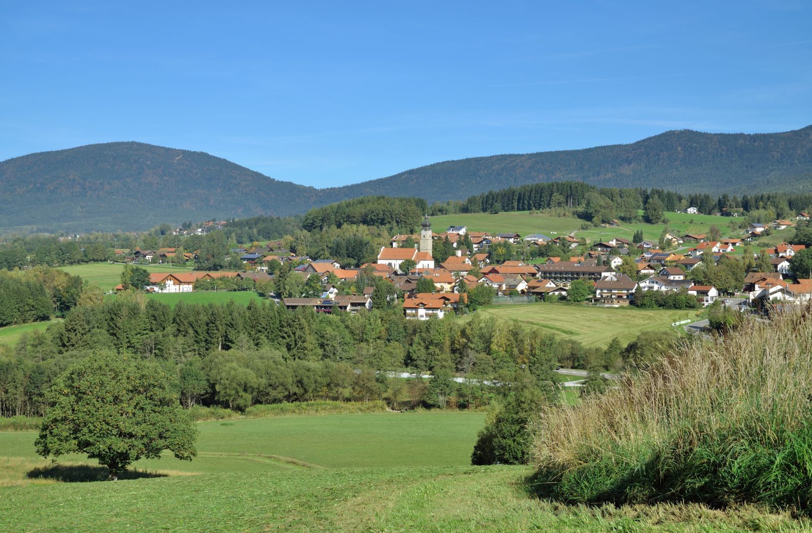 Wellnesshotel Drachselsried