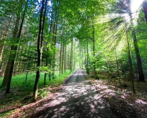 Chambtal Radweg