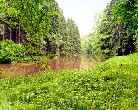 Der Goldsteig - Hohenwarth
