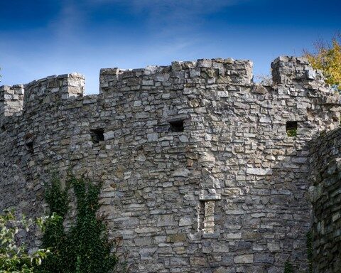 Burg Regenpeilstein in Roding