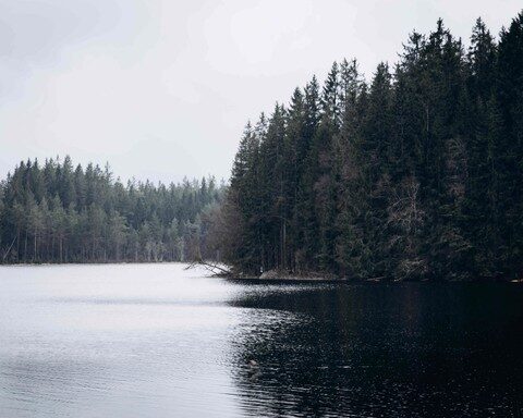 Cerne Jezero (Schwarzer See)