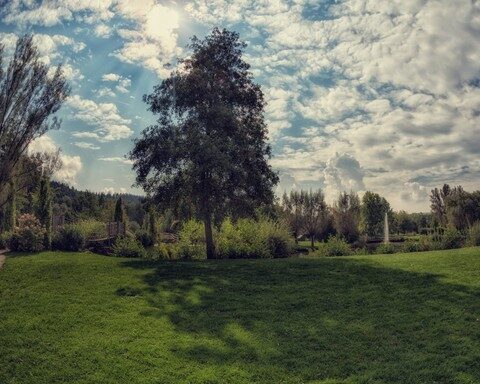 Kurpark Bad Kötzting