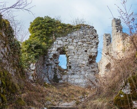 Burgruine Schwärzenberg bei Roding