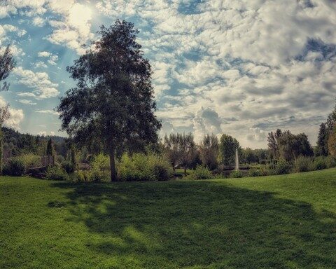 Kurpark Bad Kötzting