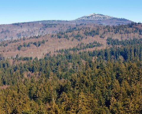 Nationalparkzentrum Falkenstein