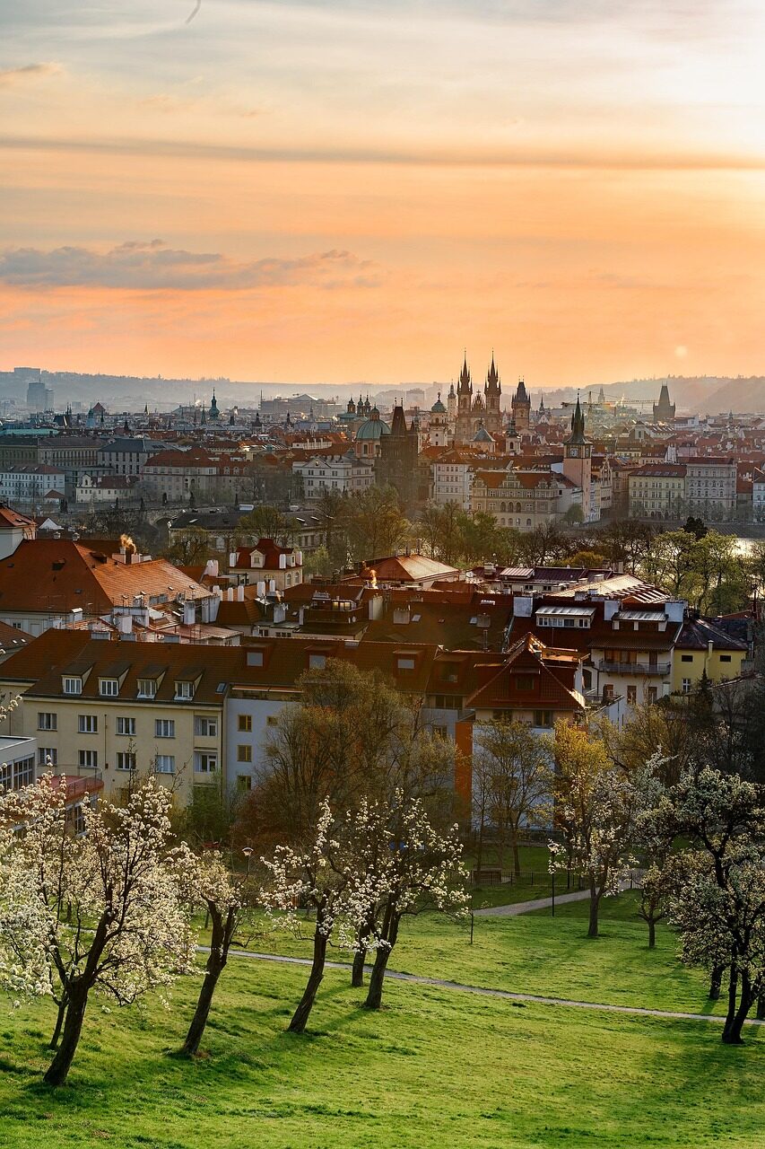 Bild von Prag