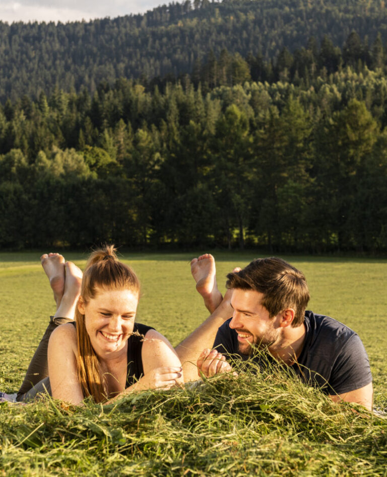 bayerischer Wald Wiese
