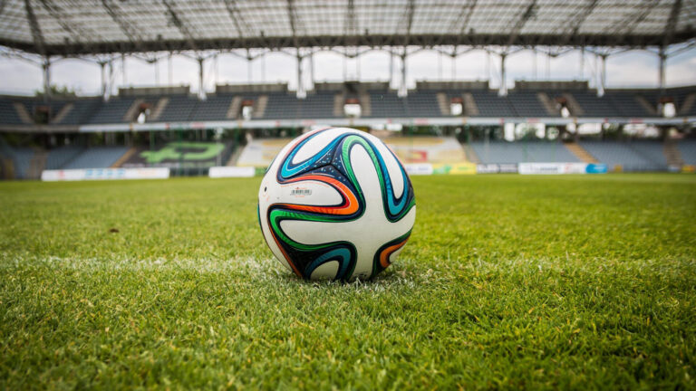 FIFA WM im Sonnenhof