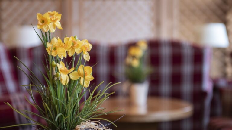 Küchenhilfe - Spüler (m:w:d)