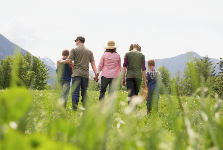 Sommerferien im Sonnenhof