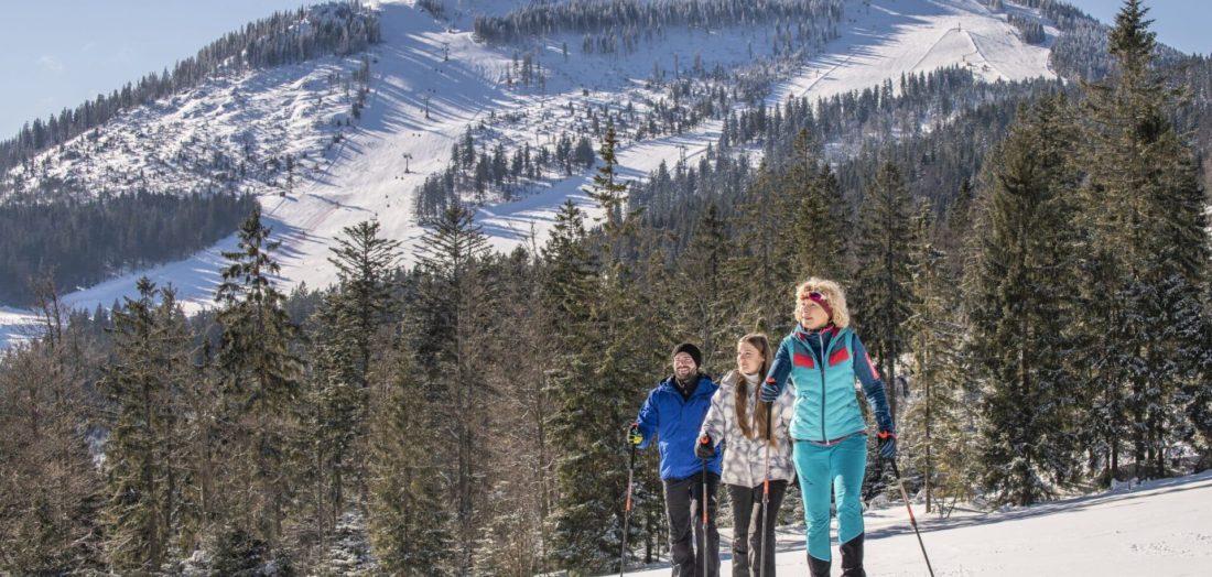 Schneeschuhwanderung im bayerischen Wald