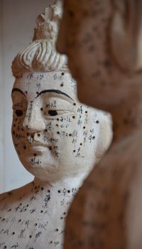 traditionelle Chinesische Medizin im Sonnenhof im bayerischen Wald
