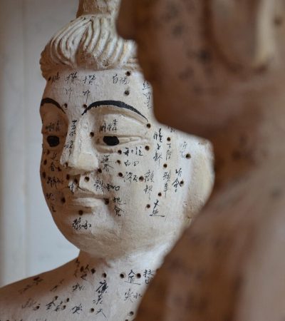 TCM traditionelle Chinesische Medizin im Sonnenhof im bayerischen Wald