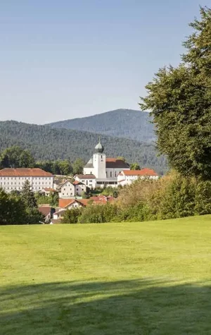 Ausblick Lamer Winkel im Bayerischen Wald