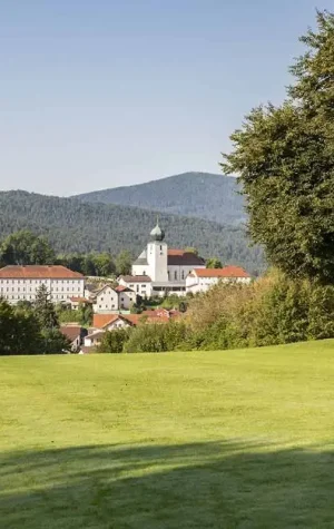 ausblick-lamer-winkel-im-bayerischen-wald.webp