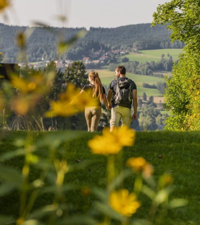 familienurlaub-im-sommer-im-bayerischen-wald-hotel-sonnenhof-scaled.jpg