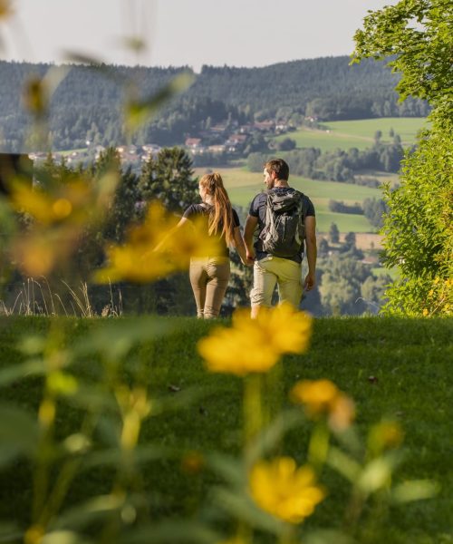 Wanderurlaub Bayerischer Wald Wanderurlaub Bayerischer Wald