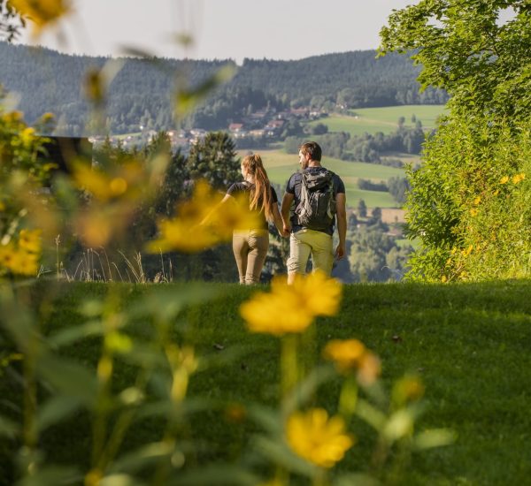 Wanderurlaub Bayerischer Wald