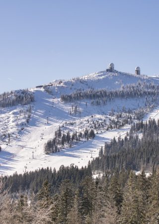 Sonnenhof Lam Großer Arber
