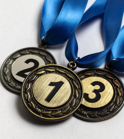 medaille-urlaub-mit-olympiasiegern-hotel-sonnenhof-lam-im-bayerischen-wald-scaled.jpg