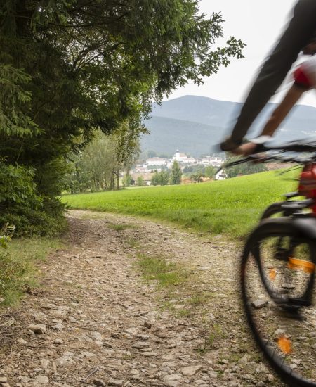 Sonnenhof Lam E-Bike mieten