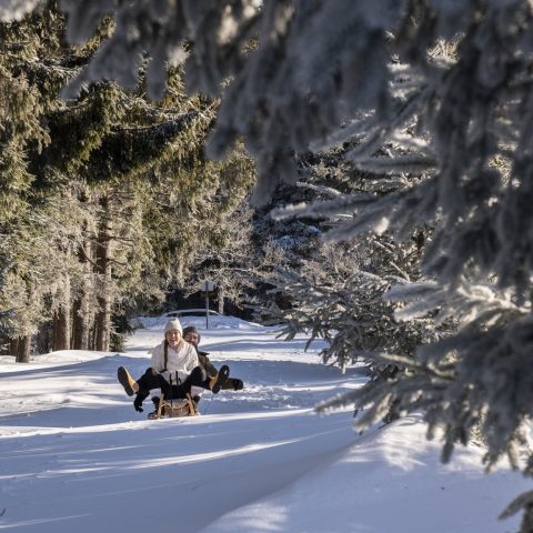 Schlitten im Bayerischen Wald_Hotel Sonnenhof Lam