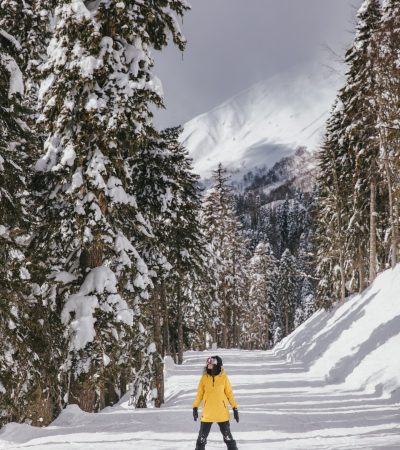 skifahren-aktivurlaub-im-winter-hotel-sonnenhof-lam-scaled.jpg skifahren-aktivurlaub-im-winter-hotel-sonnenhof-lam-scaled.jpg