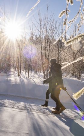 Winterwanderung durch den Wald_Hotel Sonnenhof Lam Winterwanderung durch den Wald_Hotel Sonnenhof Lam