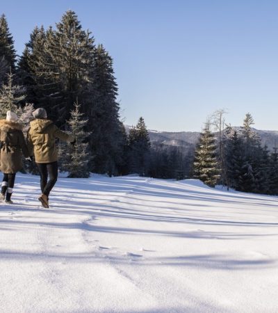wintretraum-im-bayerischen-wald-hotel-sonnenhof-lam-scaled.jpg wintretraum-im-bayerischen-wald-hotel-sonnenhof-lam-scaled.jpg
