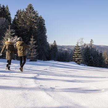 Wintretraum im Bayerischen Wald_Hotel Sonnenhof Lam