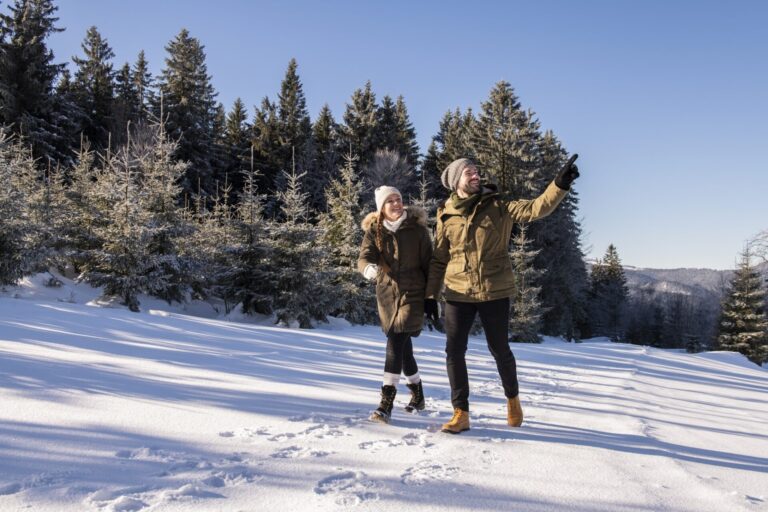 winterromantik-winterwald-hotel-sonnenhof-lam-scaled